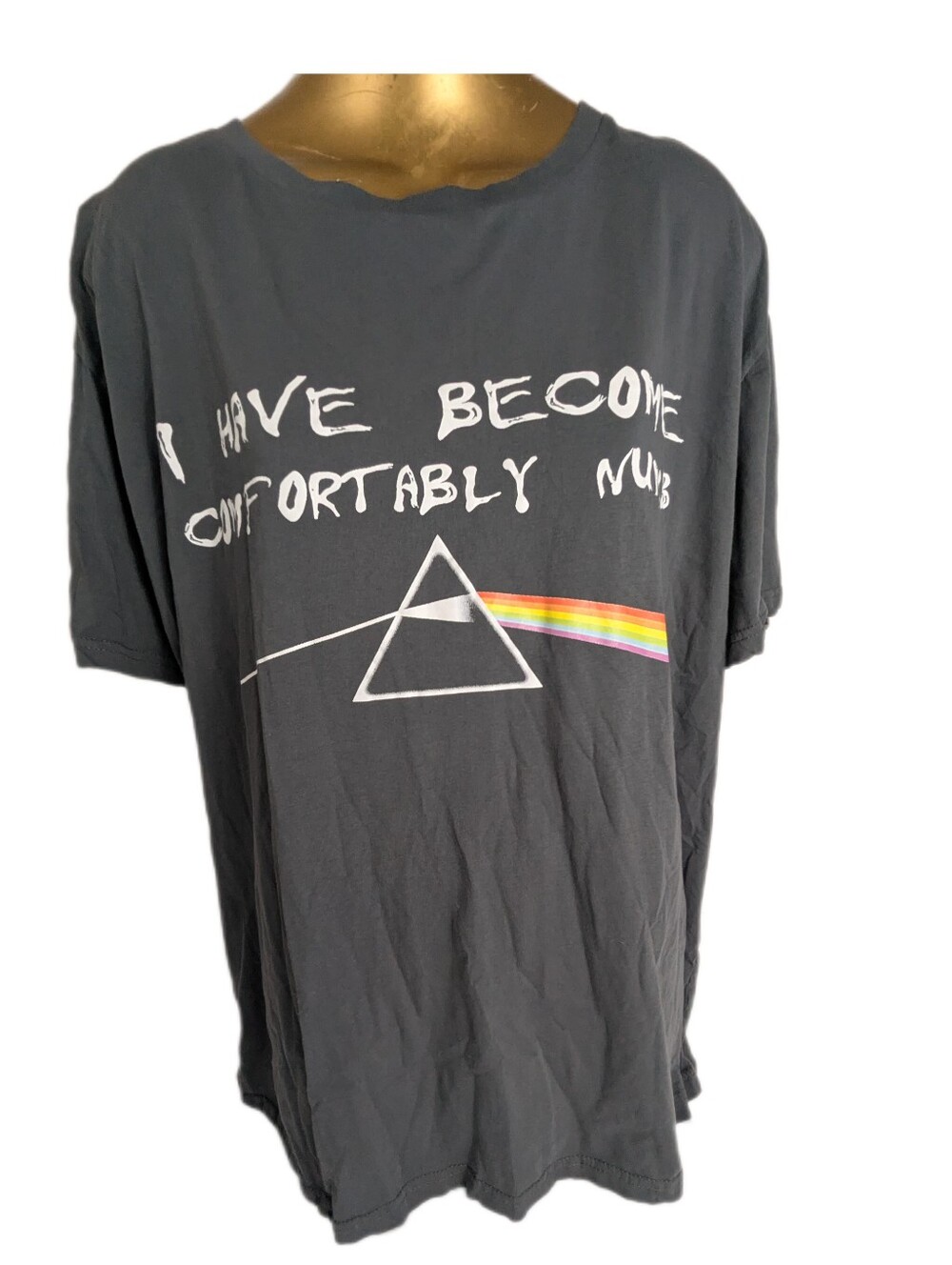 Pink Floyd Mens I Have Become Comfortably Numb Grey Tee XXL